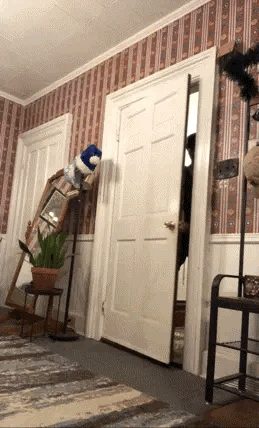 A figure peeks out from behind a partially open door inside a home hallway.