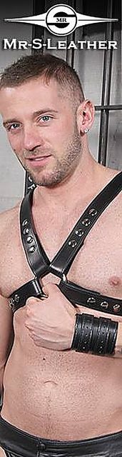 A muscular man poses wearing a studded black leather chest harness and wrist cuffs in a dungeon setting.