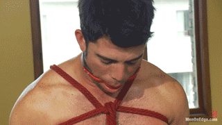 A shirtless young man with a lightly hairy chest is bound with red shibari ropes and secured with a red ball gag.
