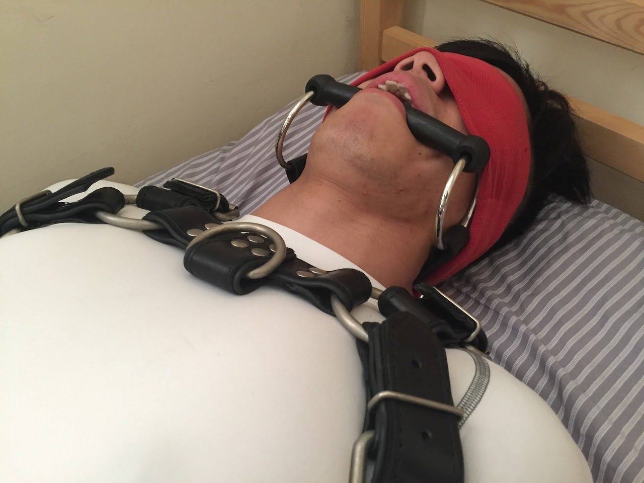 A submissive man lies back on a bed wearing a red blindfold, a bit gag, and a black leather chest harness.